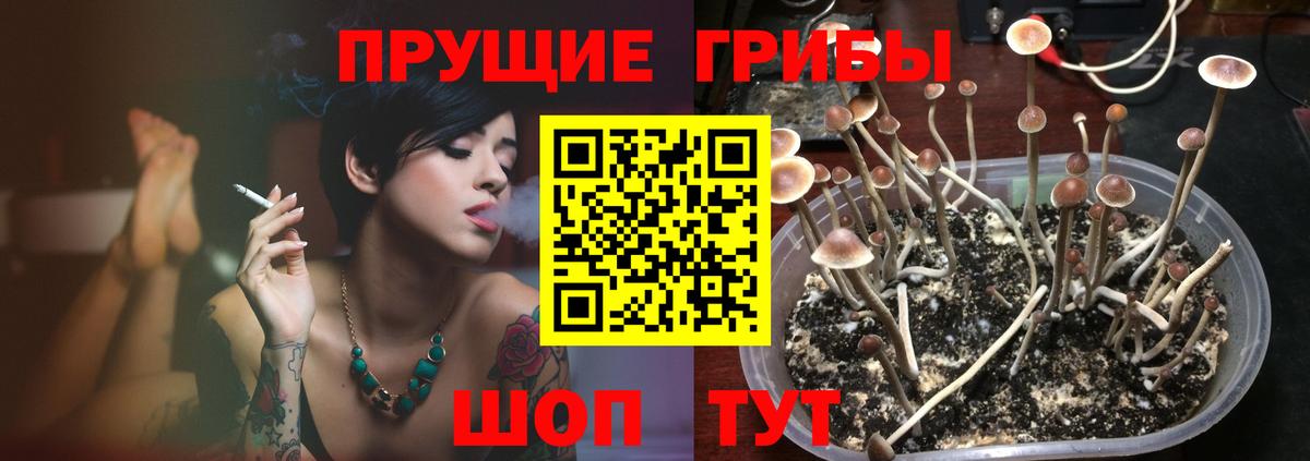 Псилоцибиновые грибы MAGIC MUSHROOMS Камышлов