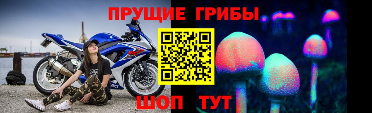 Камышлов  что такое наркотик  Галлюциногенные грибы Psilocybe  Вход с VPN  Псилоцибиновые грибы Psilocybe 